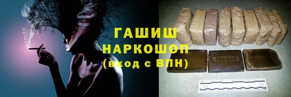 СК Алексин