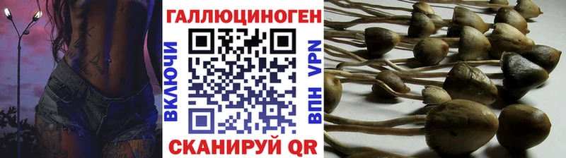 Псилоцибиновые грибы GOLDEN TEACHER  Находка 